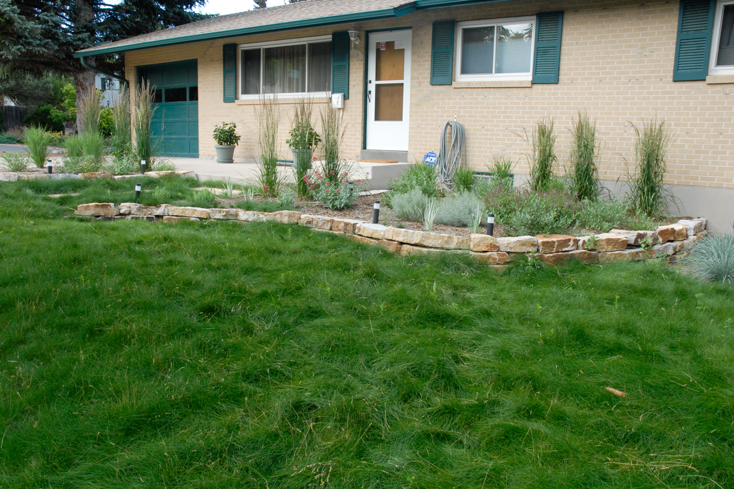 Low Maintenance Reno